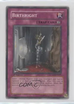 Birthright 1st Ed. YuGiOh Warriors' Strike Structure Deck #SDWS-EN037 2009 0d94 - Image 1