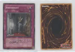Birthright 1st Ed. YuGiOh Warriors' Strike Structure Deck #SDWS-EN037 2009 0d94 - Image 3