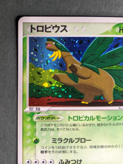 Tropius 014/082 Holo Card - Pokemon 2004 EX Clash of the Blue Sky - Image 2