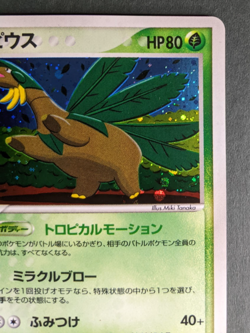 Tropius 014/082 Holo Card - Pokemon 2004 EX Clash of the Blue Sky - Image 3