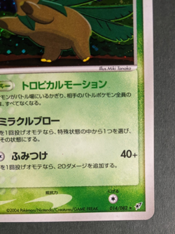 Tropius 014/082 Holo Card - Pokemon 2004 EX Clash of the Blue Sky - Image 4