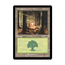 WOTC MtG Onslaught Forest #349 (C) (Foil) EX - Image 1