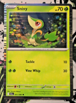 Snivy 001 Tepig 011 Oshawott 021 Pokemon Black & White Poster - Image 2