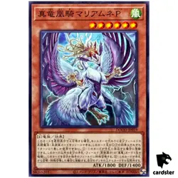 Mariamne Paradox the True Dracophoenix Knight DOOD-JP019 [N] Normal Yugioh - Image 1
