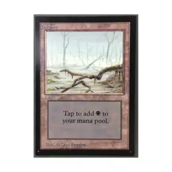 WOTC MtG International Ed. Swamp (A) (L) NM - Image 1
