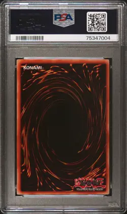 YUGIOH PSA 10 2004 Dark Magician Knight ROD-EN001 Secret Rare Promo *7004 - Image 2
