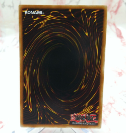 Yugioh - Labyrinth Wall SRL-EN055 C Spell Ruler Anniversary - NM - Image 2