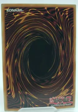 Yugioh Wiz, Sage Fur Hire MP19-EN252 1st Edition Common Card - NM/M - Image 2