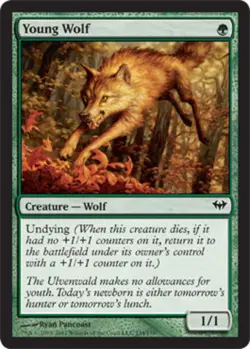 MTG - Young Wolf - Dark Ascension - NM, English Magic FLAT RATE SHIP - Image 1