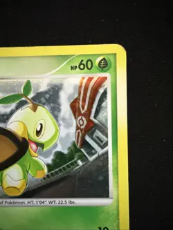 Pokemon (Holo) TURTWIG Card (POP SERIES-6) Set 17/17 Common Promo - Image 2
