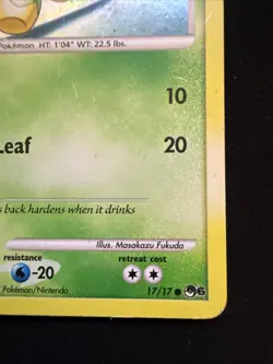 Pokemon (Holo) TURTWIG Card (POP SERIES-6) Set 17/17 Common Promo - Image 5