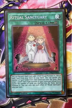 Yugioh! Complete Ryu-Ge Deck Core. Near Mint. Includes Varudras And More ! - Image 4