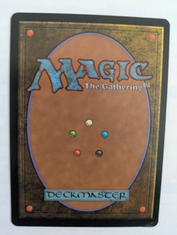 Hermit Druid Stronghold MTG LP Free shipping with tracking - Image 2