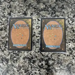 Mistrise Village Borderless 0397 TDM NM/MT [Tarkir Dragonstorm:MTG] & R 0261 - Image 2