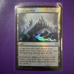 Evolving Wilds - Foil - MTG Magic 2025 Tarkir: Dragonstorm - NM - Image 1