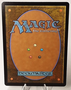 MTG - Bloomburrow - Lilypad Village - #0255 - Near Mint - Image 3