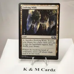 MTG - M20 - Evolving Wilds - #246 - Image 1