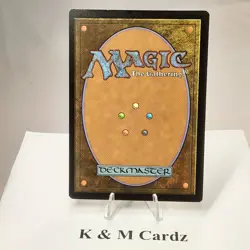 MTG - M20 - Evolving Wilds - #246 - Image 3