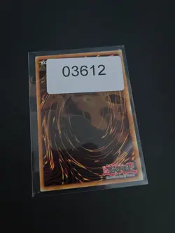 Luster Dragon SDBE-EN004 Yugioh Trading Card TCG - Image 5