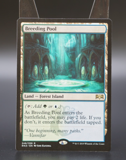 Magic The Gathering MTG Breeding Pool 246 Regular - Image 1
