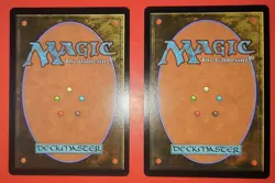 MTG, MAGIC: 2X PLAY SET, FIN, PLAINS, 0296 - NM - REGULAR & FOIL FINISH - Image 2