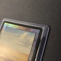 MTG Secluded Steppe 324 Foil Onslaught ONS - Image 4