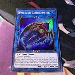 Yugioh! Paleozoic Cambroraster - MP22-EN088 - Super Rare - 1st Edition Near Mint - Image 1