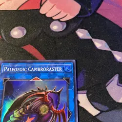 Yugioh! Paleozoic Cambroraster - MP22-EN088 - Super Rare - 1st Edition Near Mint - Image 4