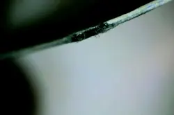 MTG WHEEL OF FORTUNE Beta (Ink) (OldManMTG 011-140) - Image 3