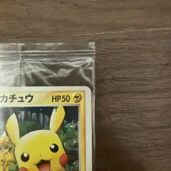 Pokemon TCG PokePark's Pikachu PROMO 043/PCG-P Sealed Unopened Promo Card - Image 3