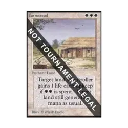 WOTC MtG Collector's Ed Farmstead (CE) (R) EX - Image 1