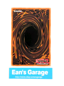 YuGiOh Amazoness War Chief 1st Edition MP23-EN221 Dueling Heroes Ultra Rare - MN - Image 4