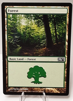 MTG - M13 - Forest - #247 - Lightly Played - Image 1
