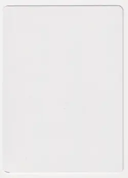 Miscut Signed Wand of Denial Proof MP Visions Artist Steve Luke MTG Magic AP! - Image 2