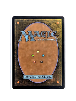 Pain for All R 0337 Extended Art FOIL MTG Edge Of Eternities EOE EN NM/M - Image 2