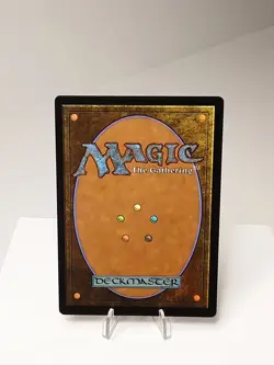 MTG - M13 - Forest - #248 - Near Mint - Image 3