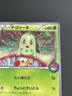 Pokemon TCG Chikorita Special Set Ho-Oh + Lugia PROMO 222/XY-P LP - Image 3