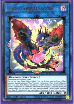 Crossrose Dragon - DUOV-EN015 - Ultra Rare - 1st Edition - Yugioh - Image 1