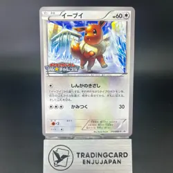 Eevee 213/BW-P Gym Challenge Promo 2013 NM- Condition Japanese Pokemon Card #2 - Image 1