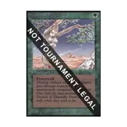 WOTC MtG Collector's Ed Shanodin Dryads (CE) (C) EX - Image 1