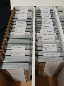 About 20% Of All Vintage Magic The Gathering Cards Old MTG Collection - Image 1