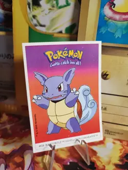 Pokemon Karte Card Schillok Wartortle Dunkin Boomer Sticker Vintage Rare Wotc VG - Image 1
