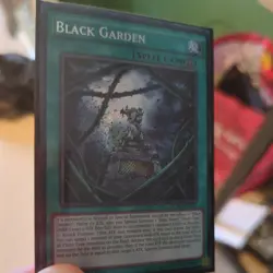 Yugioh Black Garden (LC5D-EN101) 1st Ed. Secret Rare - Image 3