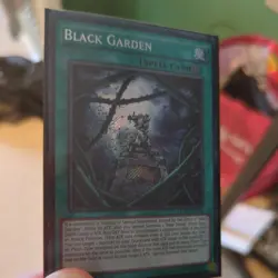 Yugioh Black Garden (LC5D-EN101) 1st Ed. Secret Rare - Image 4