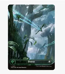 MTG Forest (0266) (Borderless) - Edge of Eternities (EOE)Non Foil Pre Order - Image 1