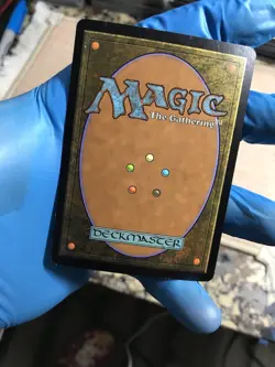 FOIL Swamp - 291 - Lorwyn - MTG - Played - Condition Displayed In Many Pictures - Image 3