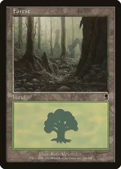 MTG Odyssey --- FOREST (348) --- Common! HP! Magic the Gathering! - Image 3