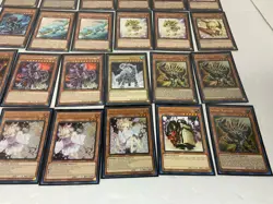 YUGIOH Dinosaur Deck w/ Baronne, Pankratops 25th, Ash, Ready to Play 40+15 - Image 2