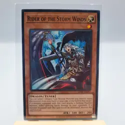 Yugioh TCG Single Card Rider Of The Storm Winds #007 Dragon Tuner - Image 1