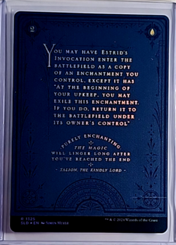 MTG Magic The Gathering SLD Secret Lair Drop Poster Foil 1325 Estrids Invocation - Image 2